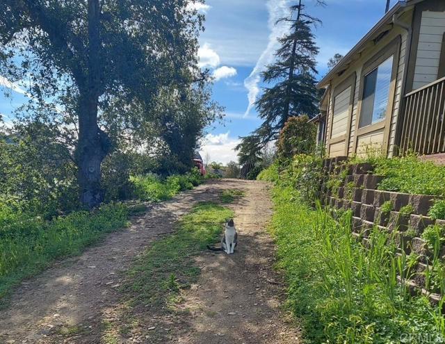 1320 RICHLAND RD, San Marcos CA: https://media.crmls.org/mediaz/7910367e-4fdb-4662-8e7e-f773f23926d4.jpg