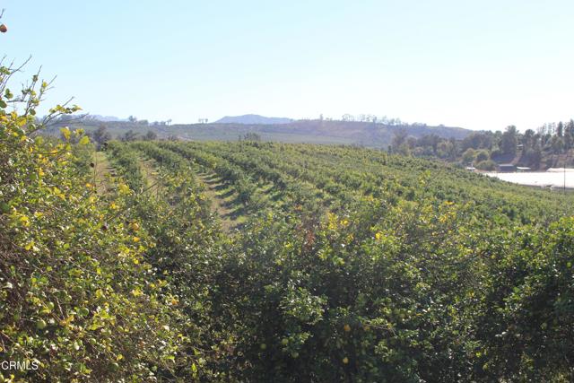 Detail Gallery Image 4 of 15 For 4363 Sand Canyon Rd, Somis,  CA 93066 - – Beds | – Baths