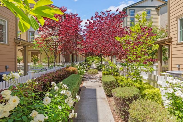 218 Peppermint Tree Terrace, Sunnyvale CA: https://media.crmls.org/mediaz/791aa5f0-653c-41ce-b443-aded1d462a7e.jpg