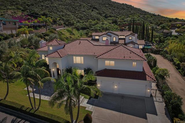 Detail Gallery Image 3 of 48 For 2535 San Clemente Ave, Vista,  CA 92084 - 4 Beds | 4 Baths