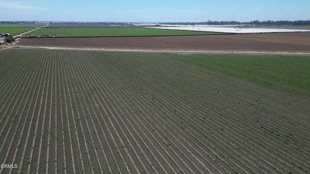 Listings Search Listings Search