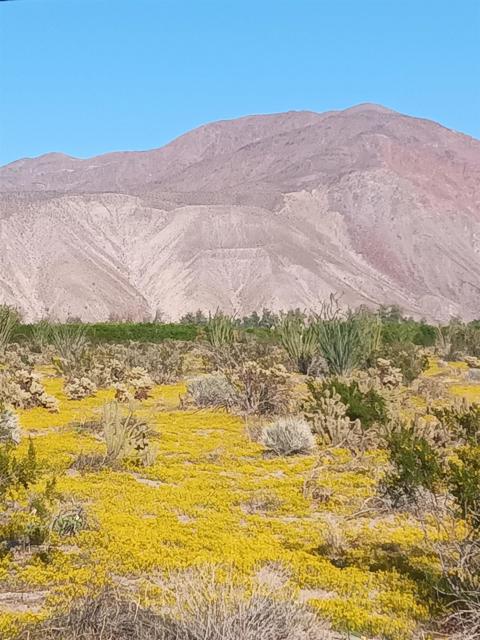 Detail Gallery Image 6 of 8 For Indian Head Ranch Rd Lot 65, Borrego Springs,  CA 92004 - – Beds | – Baths