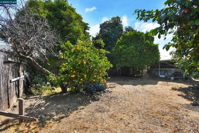 973 Paradise Blvd, Hayward CA: https://media.crmls.org/mediaz/7936684c-bd45-41e9-a720-1fddb68ae4fb.jpg