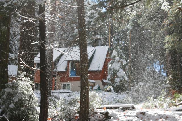 Detail Gallery Image 48 of 49 For 32811 Birch Hill Rd, Palomar Mountain,  CA 92060 - 2 Beds | 1 Baths