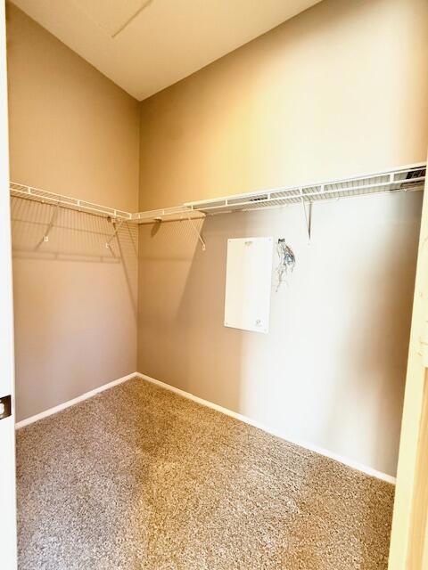 49418 Wayne Street, Indio CA: https://media.crmls.org/mediaz/793cbc26-b5e6-4883-920c-97369617a691.jpg
