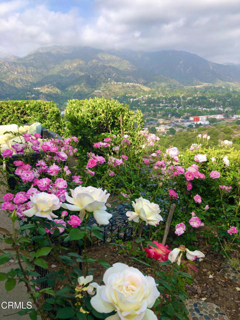 9670 Crystal View Dr., Tujunga CA: https://media.crmls.org/mediaz/794275df-8650-4a6f-ae58-e4bb7c9b83c6.jpg