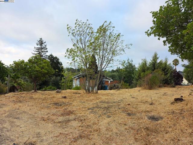 2315 Wayne St, Martinez CA: https://media.crmls.org/mediaz/7948debf-3ca9-4124-90d7-93c833d7c176.jpg
