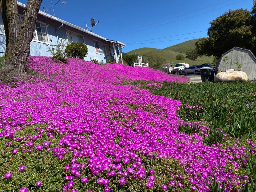 MLS #ML82001179 image #8