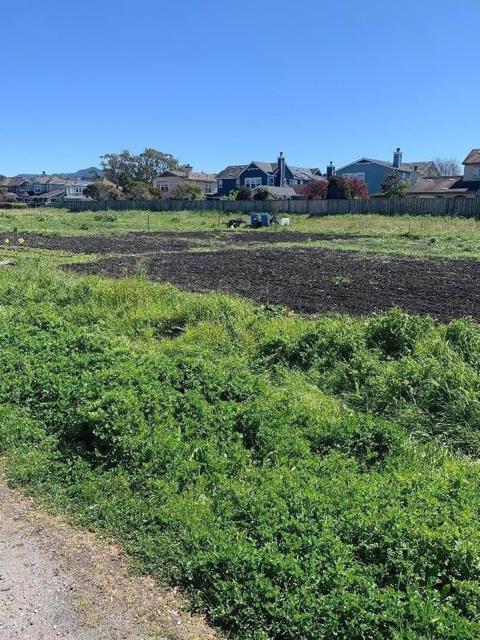 0 Magnolia Street, Half Moon Bay CA: https://media.crmls.org/mediaz/7969f784-29a3-4d20-a08a-1dd75c052a16.jpg