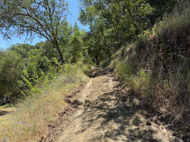 14056 Uvas Road, Morgan Hill CA: https://media.crmls.org/mediaz/796b9479-4a27-4104-83d5-a3de38e401df.jpg