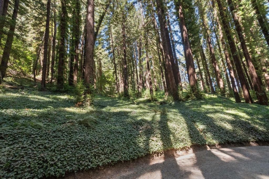 MLS #ML81988191 image #9