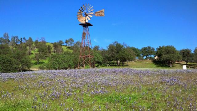 38483 Milpitas Road,  CA: https://media.crmls.org/mediaz/7978cbf1-ae5d-4f96-a7b9-97d0917ce0d2.jpg