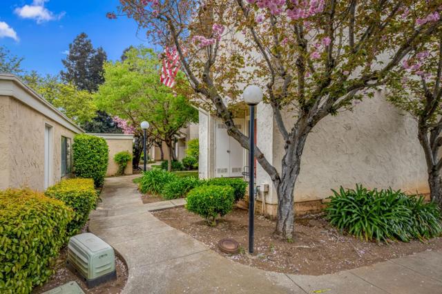 260 W Dunne Avenue, Morgan Hill CA: https://media.crmls.org/mediaz/797a4895-05e4-470e-8862-d072d0530876.jpg