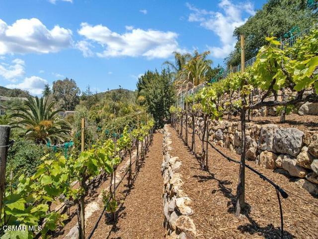 5455 Via Olas, Newbury Park CA: https://media.crmls.org/mediaz/797af2d1-8a76-4571-bb74-a1808f0bae93.jpg