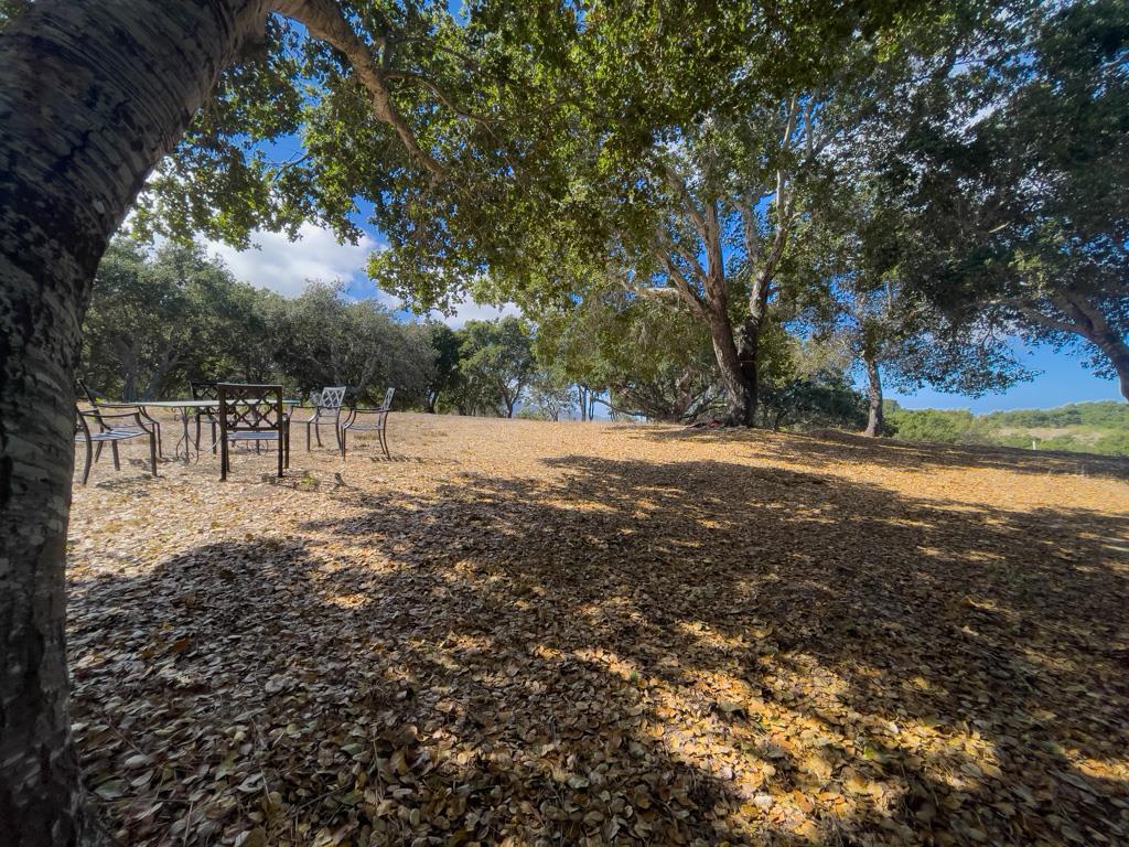 MLS #ML81990616 image #12