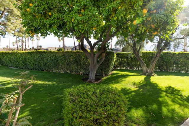 189 Desert Lakes Drive, Palm Springs CA: https://media.crmls.org/mediaz/7980fb31-3933-4672-af2d-052bbde6eeca.jpg