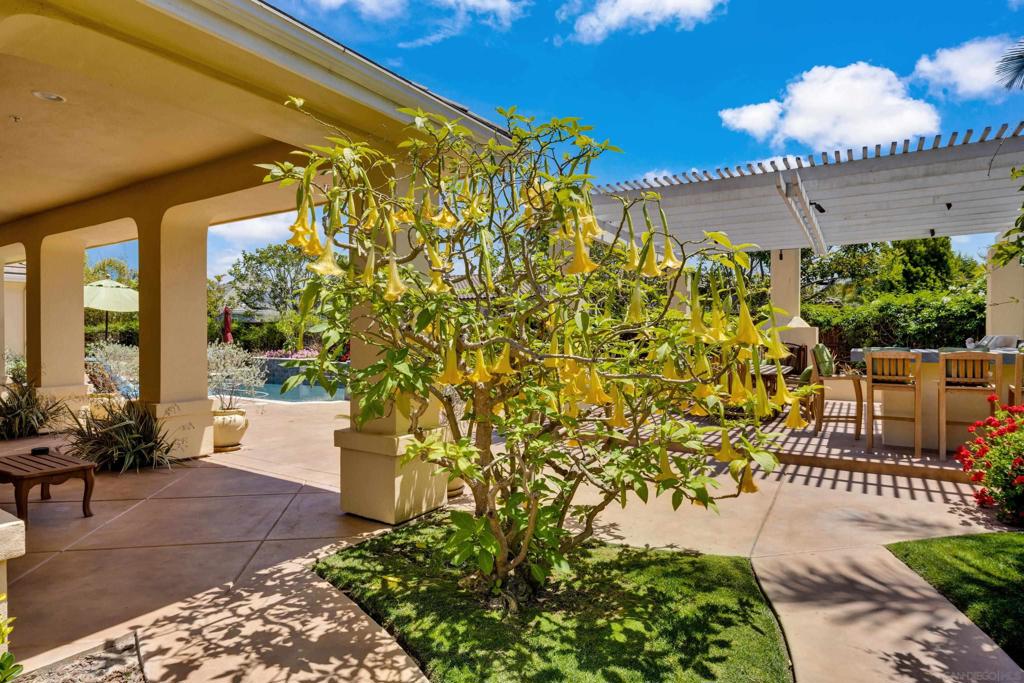 MLS #250027889SD image #29