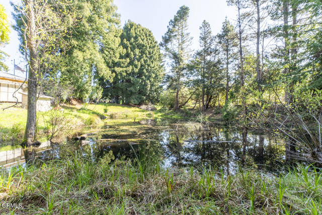 32551 Mill Creek Drive, Fort Bragg CA: https://media.crmls.org/mediaz/79a3b69f-006f-42f4-b9e1-c4faf9a8a1c2.jpg