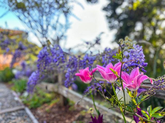 925 Skyward Drive, Aptos CA: https://media.crmls.org/mediaz/79a9cd5b-6df7-47ad-8c59-d29dbb57d6e9.jpg