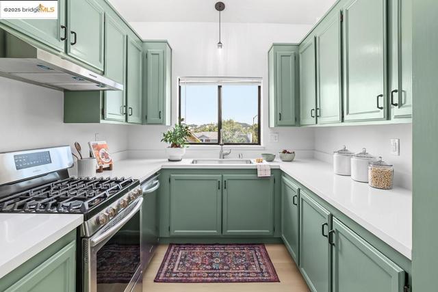 46 Birchwood Dr, Novato CA: https://media.crmls.org/mediaz/79ae17ab-4893-4c97-bd0d-a4a91c2731cc.jpg