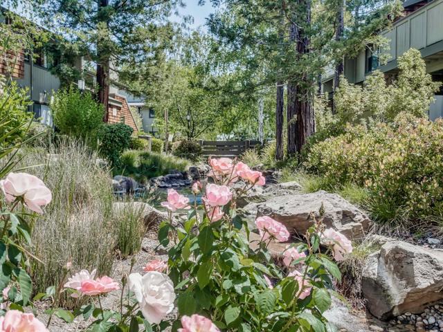 2202 La Terrace Circle, San Jose CA: https://media.crmls.org/mediaz/79b8038f-0ef7-4ce3-9c5e-2afba464a06c.jpg