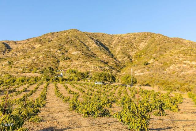 4488 Foothill Road, Carpinteria CA: https://media.crmls.org/mediaz/79b943bc-1466-4eac-91a0-5cd69fd6254e.jpg