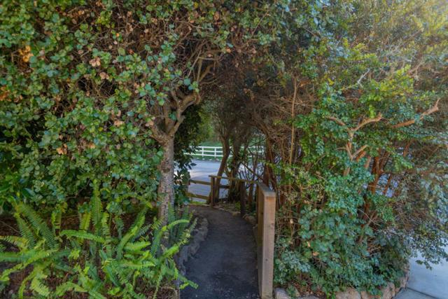 25315 Flanders Drive, Carmel CA: https://media.crmls.org/mediaz/79c1f273-fb44-480c-b946-48f380d84832.jpg