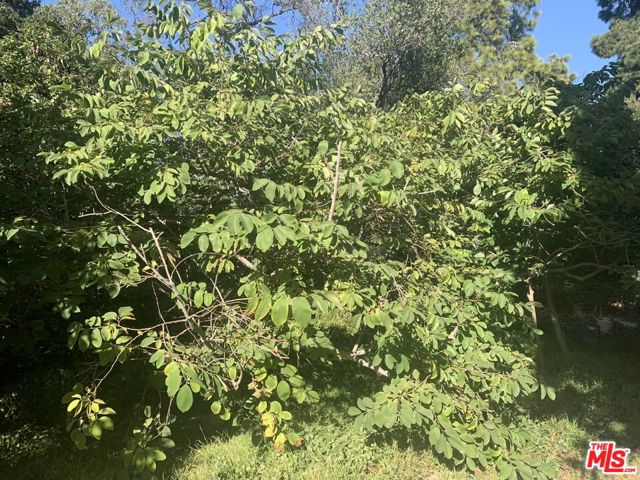 31523 Aguacate Road, San Juan Capistrano CA: https://media.crmls.org/mediaz/79c94cf2-ed19-4ab7-b304-cc6fde04600c.jpg