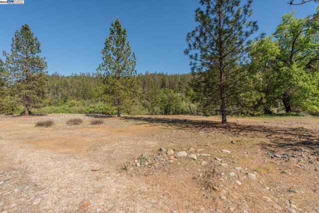 430 Bridge Rd, Douglas City CA: https://media.crmls.org/mediaz/79cbecea-afdf-4be4-832c-84407bc538c1.jpg