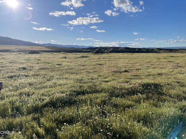 2170 Aliso Park Road, Cuyama CA: https://media.crmls.org/mediaz/79d66176-70e8-41d6-a942-1cbdf3028cd9.jpg
