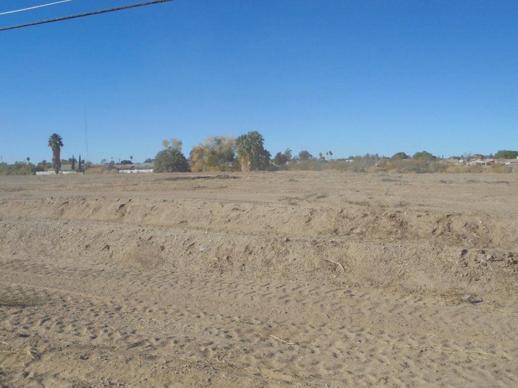 MLS #219134316DA image #5