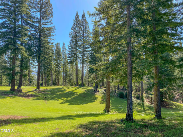 Detail Gallery Image 32 of 49 For 13740 Peregrine Rd, Boonville,  CA 95415 - – Beds | – Baths
