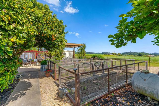 145 Coy Drive, La Selva Beach CA: https://media.crmls.org/mediaz/79e7db8e-69e5-4f8c-8fa5-35f03c951633.jpg