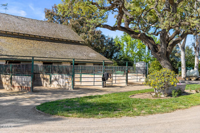 Detail Gallery Image 53 of 75 For 3325 Figueroa Mountain Rd, Los Olivos,  CA 93441 - 3 Beds | 3/2 Baths