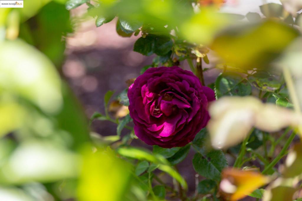https://media.crmls.org/mediaz/79f11b99-22f3-4e9f-81ae-c578266ddbc3.jpg?preset=X-Large