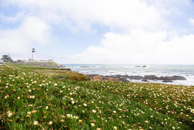 801 Bean Hollow Road, Pescadero CA: https://media.crmls.org/mediaz/79f2b7f0-3fae-40cd-bff2-ec07c2dd3c2a.jpg