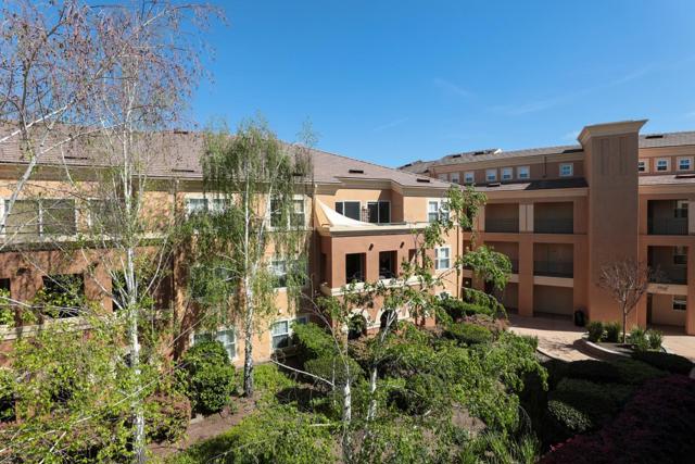 1310 Saddle Rack Street, San Jose CA: https://media.crmls.org/mediaz/79fcb609-3eeb-4c60-88b5-a7137677413c.jpg