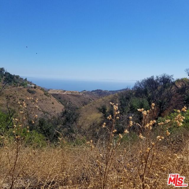 29162 Upper Ramirez Motor Way photo 6