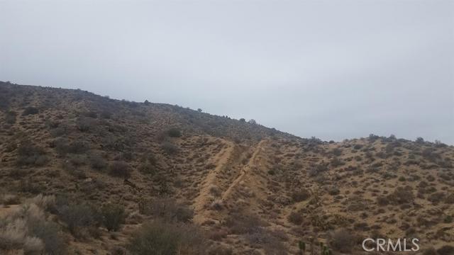 0 Ext of Nielson Road, Pinon Hills, CA 92372