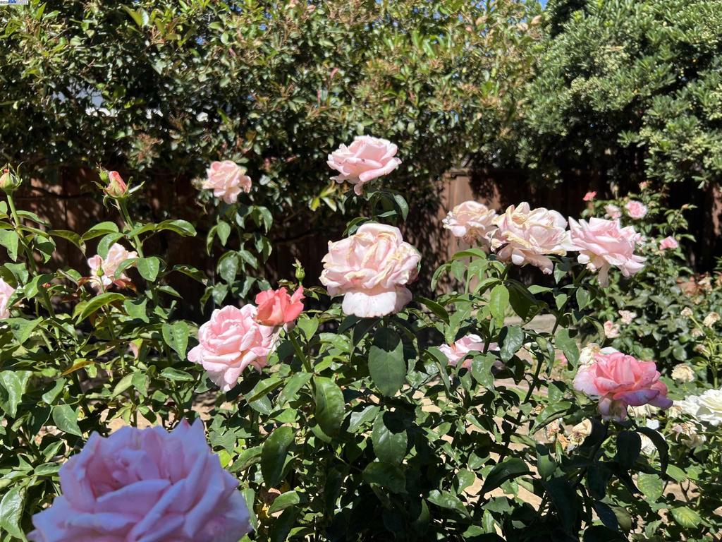 https://media.crmls.org/mediaz/7a04e490-8676-4e39-a1c3-09bd37b6d4b5.jpg?preset=X-Large