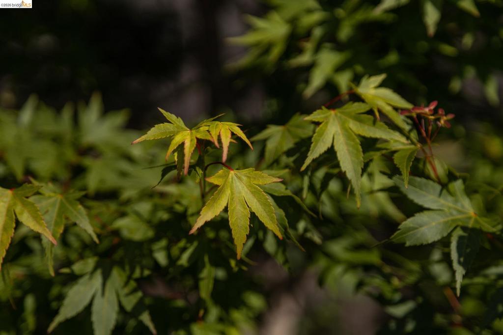 https://media.crmls.org/mediaz/7a0922ab-c1c7-42e2-9db8-a02eb80e6d54.jpg?preset=X-Large