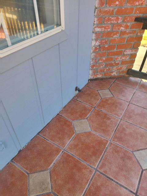 4879 Boone Drive, Fremont CA: https://media.crmls.org/mediaz/7a121566-e8df-4dfb-9353-cf5bfe62ac8f.jpg