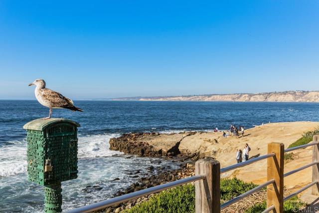 2294 Caminito Castillo, La Jolla CA: https://media.crmls.org/mediaz/7a174025-8f0a-41de-ae20-c40d4f1e11ec.jpg