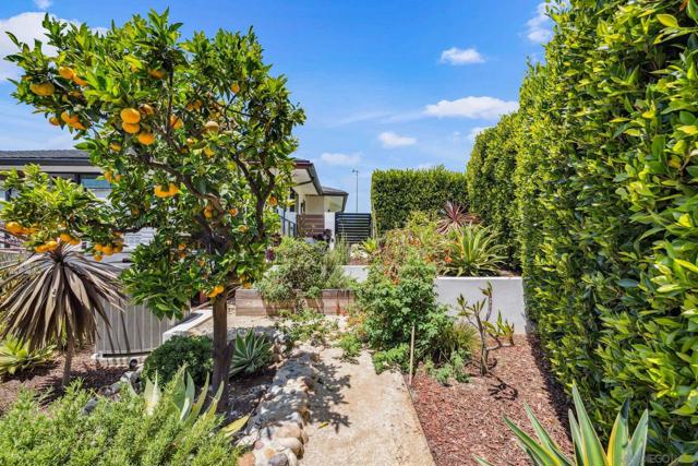 5560 Moonlight Lane, La Jolla CA: https://media.crmls.org/mediaz/7a218382-03b5-4921-846f-916bbe16b0d9.jpg