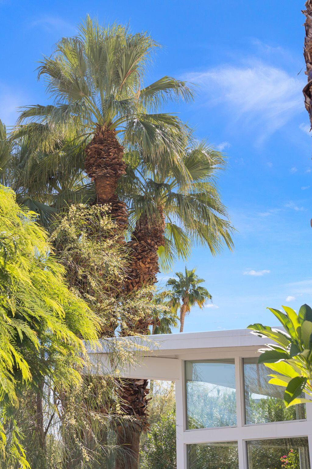 MLS #219137793DA image #36