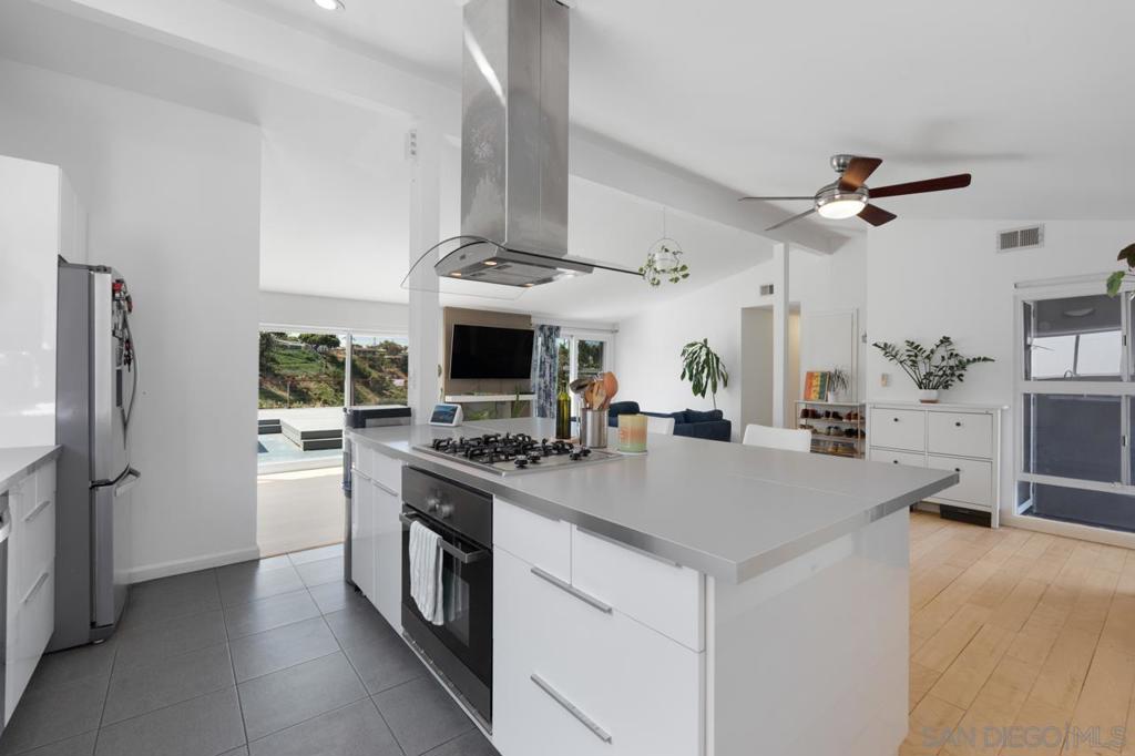 9135 Hector - photo 5