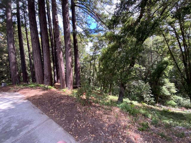 300 Winona Way, Aptos CA: https://media.crmls.org/mediaz/7a2ae7c8-698f-48ef-8fd7-656490dbd807.jpg