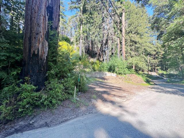 575 Hazel Brake, Boulder Creek CA: https://media.crmls.org/mediaz/7a32bbf9-ec61-4fa5-9c0b-6a1862736199.jpg