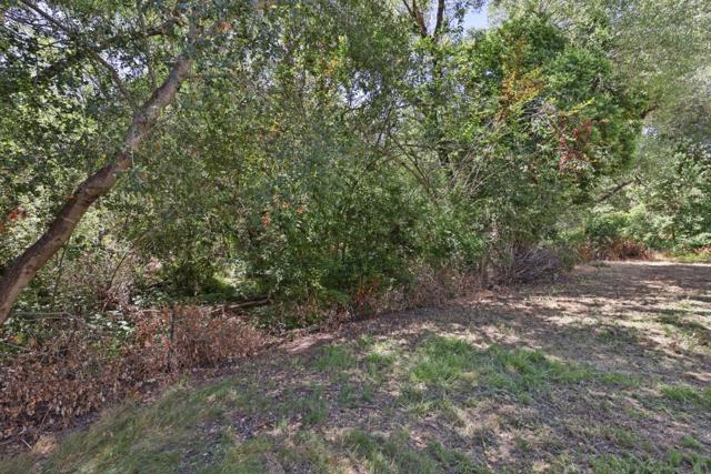 1219 Polk Spring Court, San Jose CA: https://media.crmls.org/mediaz/7a49db66-e95e-46df-ad96-5eca4cfb722c.jpg