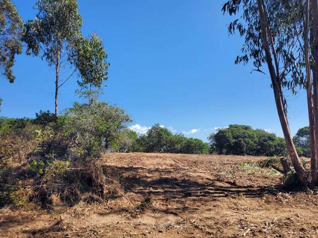 19705 Moonglow Road, Salinas CA: https://media.crmls.org/mediaz/7a4a2792-6c79-4e3d-a3e6-928f9d799246.jpg